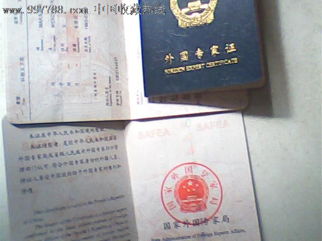 2008年版外国专家证，菲律宾籍，口语女教师，海南局发-价格:8元-se12294945-职称\/工作证件-零售-中国收藏热线