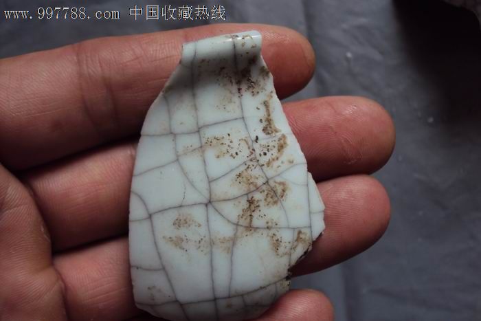 明代哥窑标本