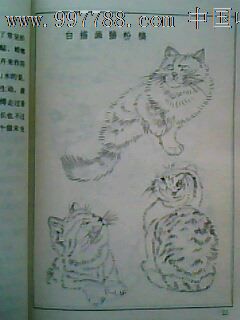 怎样画猫.曹克家编绘_国画画册_荆石书坊