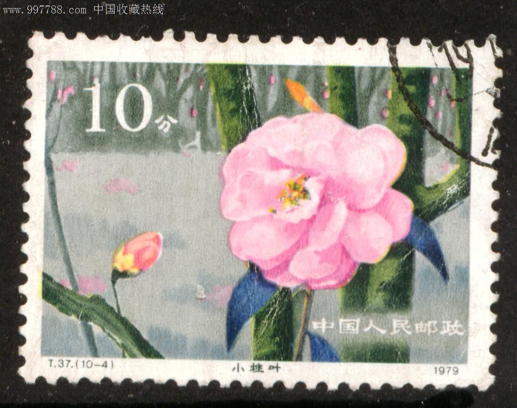 t37云南山茶花10—4信销邮票上品_价格2.5元_第1张_中国收藏热线
