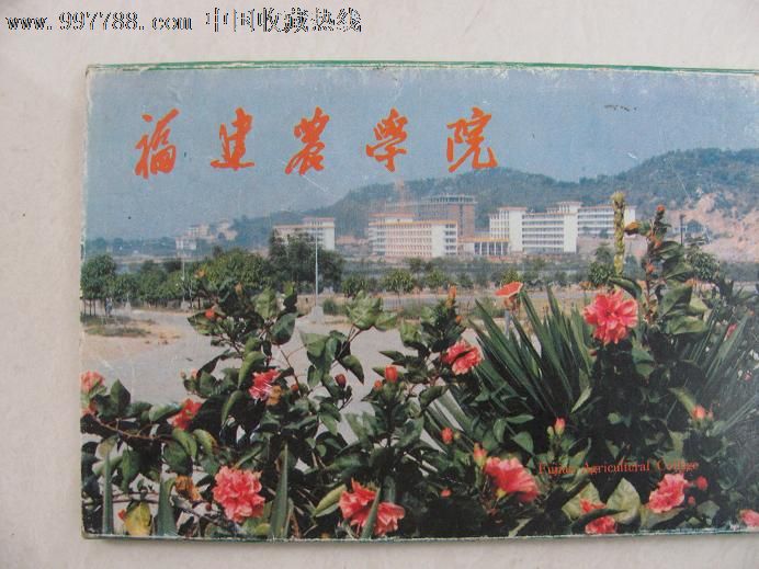 福建农学院园艺_南京农业大学园艺学院_华南热带农业大学园艺学院