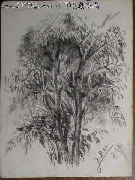 八十年代铅笔画速写--树(陈天华作品)-素描\/速写--se12446511-零售-七七八八字画网