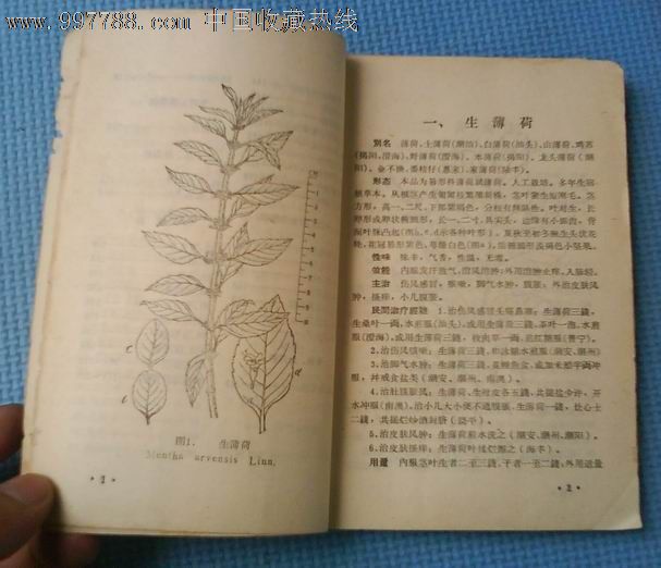 1968年文革《潮汕草药》