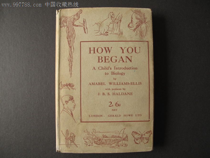 原版英文书、《HOW YOU BEGAN》、37元-价