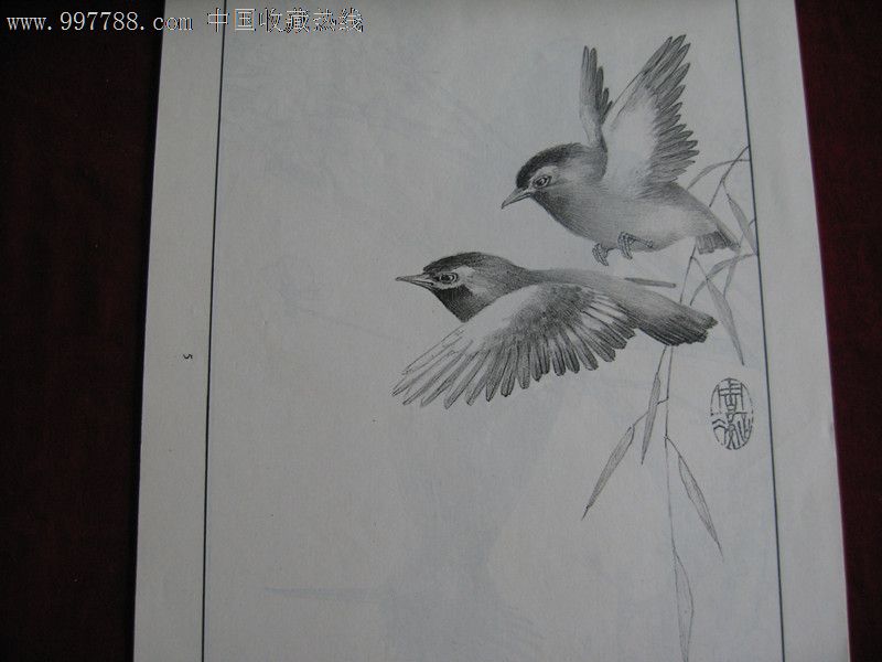 《素描花鸟选》-价格:50元-se12594966-绘画期