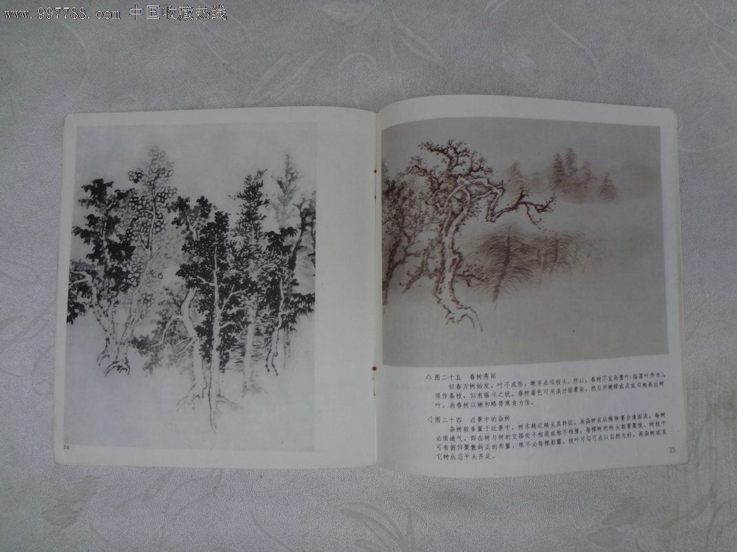 中国画技法入门《怎样画树》(二)作者:乐震文-
