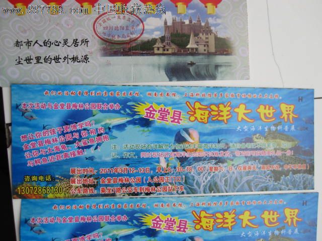 海洋大世界