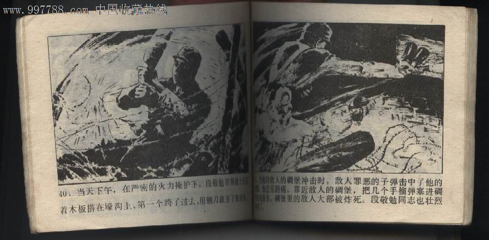 她的代号白牡丹《湖北88年1版1印》