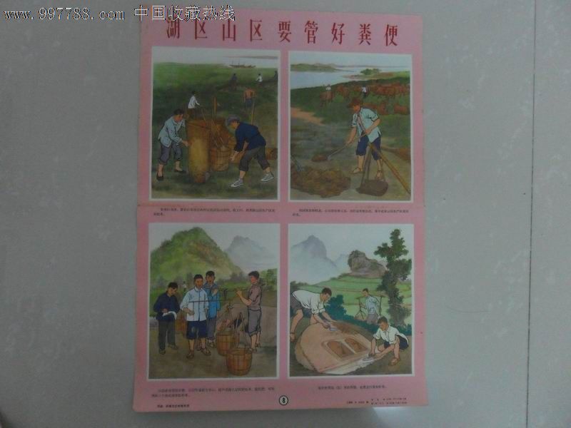 农村说的因为鸟儿的粪便使树木上长出的寄生植物叫什么?(在板栗树,