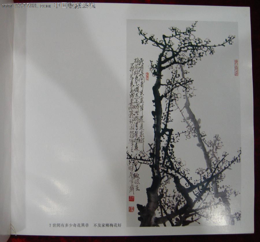 王成喜画梅集-价格:200元-se13093935-综合绘画类画册-零售-中国收藏热线