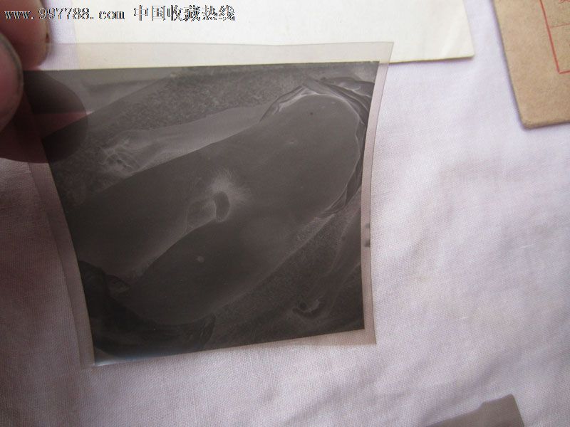 文革底版打砸抢武斗底版补图勿拍,老照片-- 其