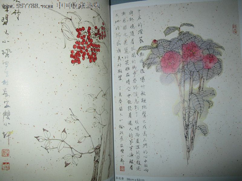 蔡小枫中国画作品集(上下册)【大16开国画画册】