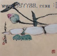 黄云鸿花鸟画,荷花藕,小斗方,精美礼品装饰画,推荐收藏,22623