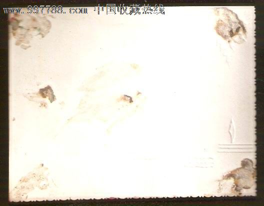 1-6寸,有齿边,无标志,单张,无底片_第2张_七七八八老照片收藏