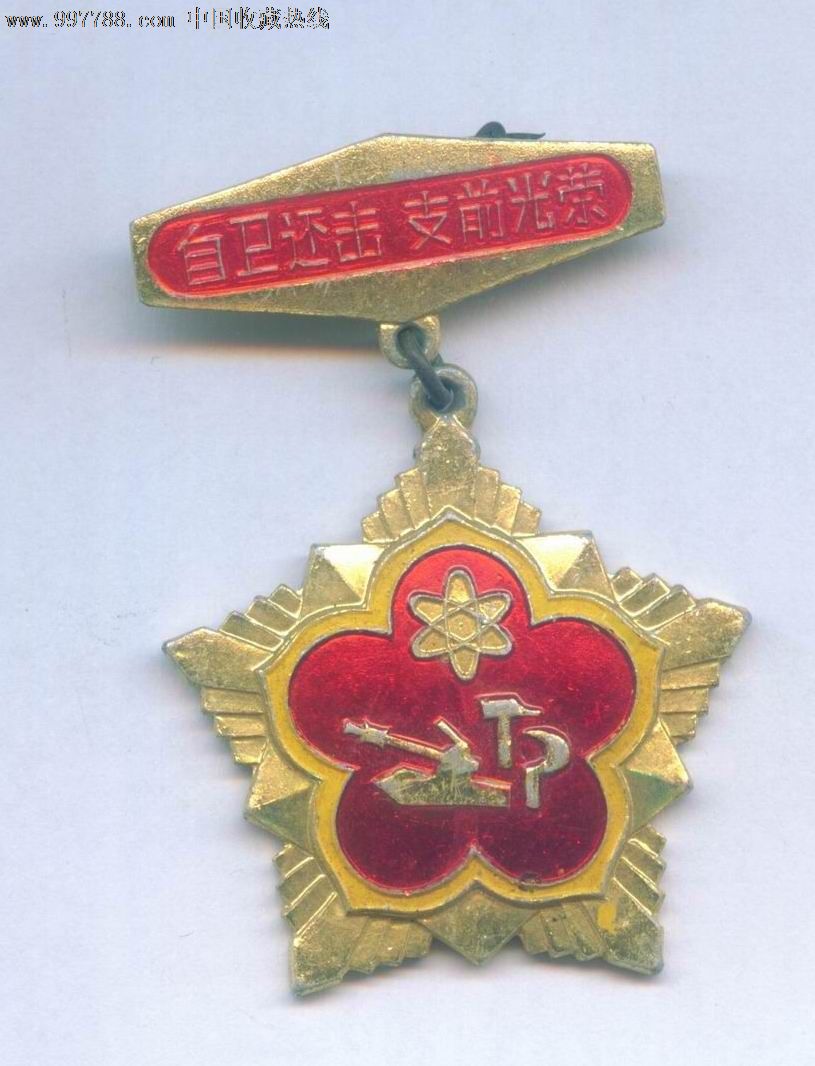 对越自卫反击战:开远县民兵支前章-价格:240元