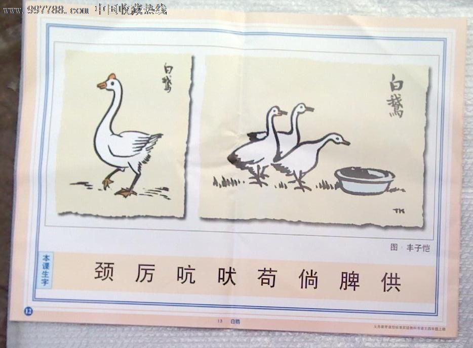 关于丰子恺白鹅读后感