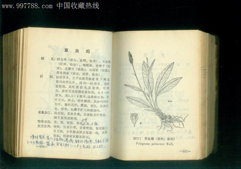 褐色塑封皮:《云南中草药》