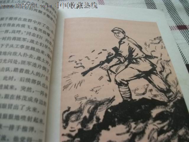 文革时小说;英雄故事,小说\/传记,现代小说,文革