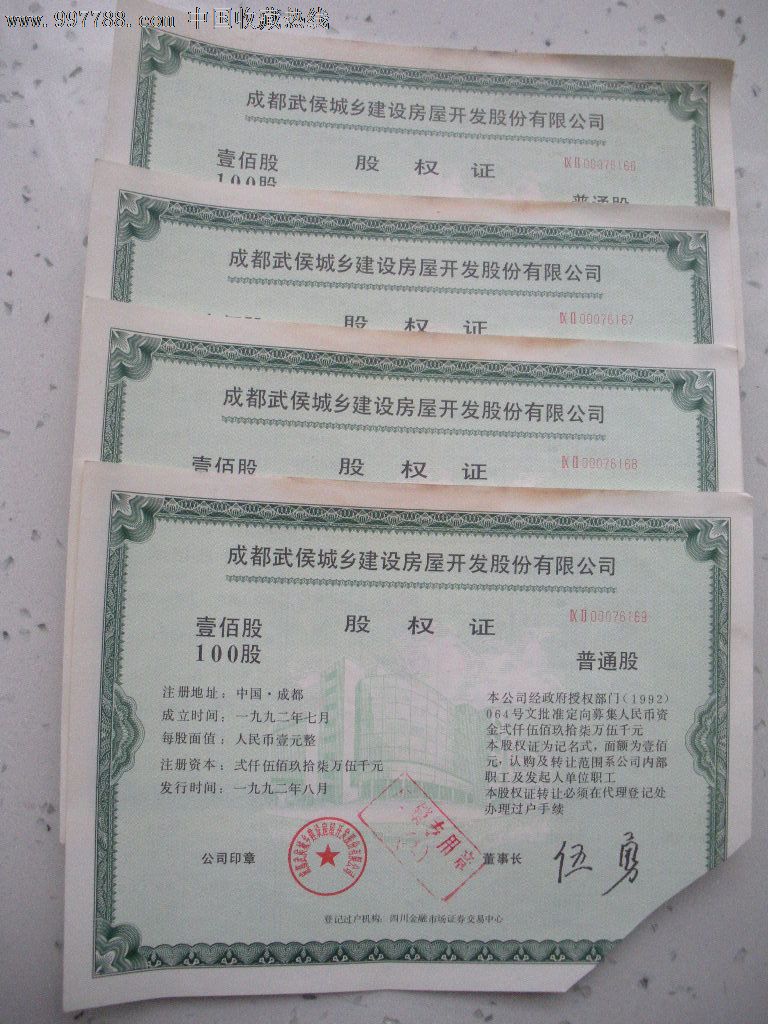 股权证,股票\/集资券,股权证,九十年代(20世纪),四