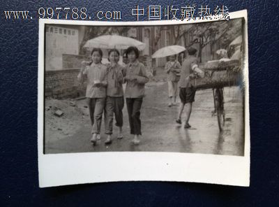 合影【有美女<em>撑伞</em>在雨中】,老<em>照片</em>-- 小型合影