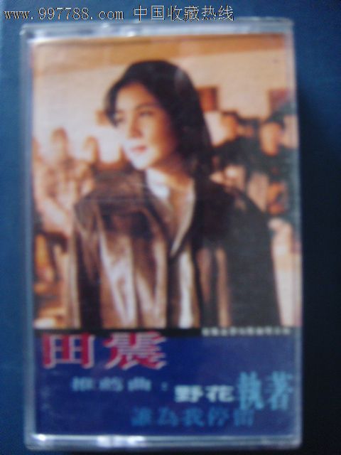 田震-推荐曲:野花执着谁为我停留湖南文化音像