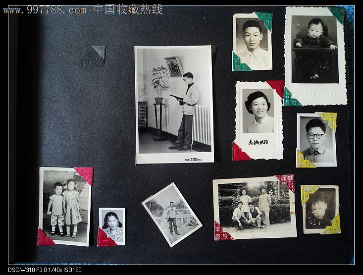 ... 照片图,女照片同一个人多张,高校同一个人女多张