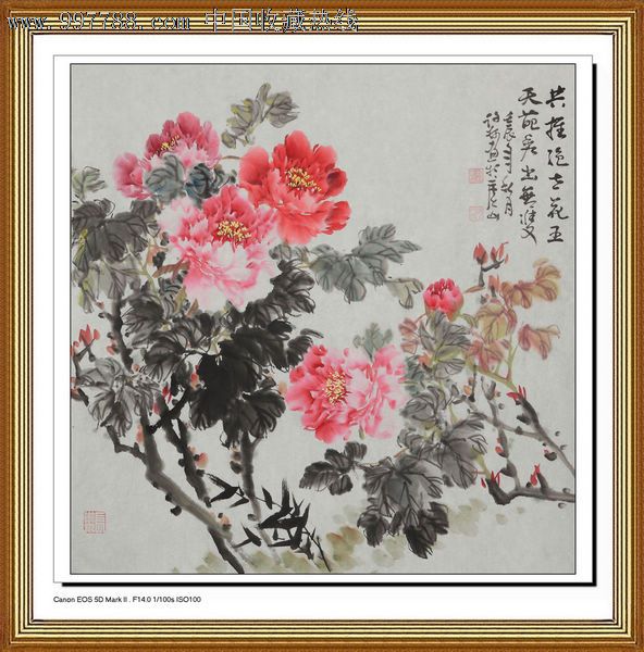 一枫斋精品国画花鸟画四尺斗方牡丹作品2