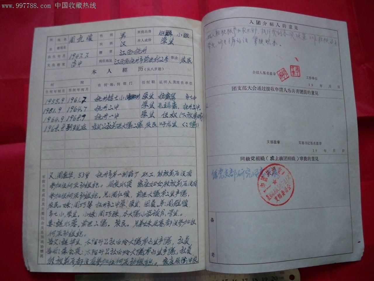 初一入团志愿书200字模板