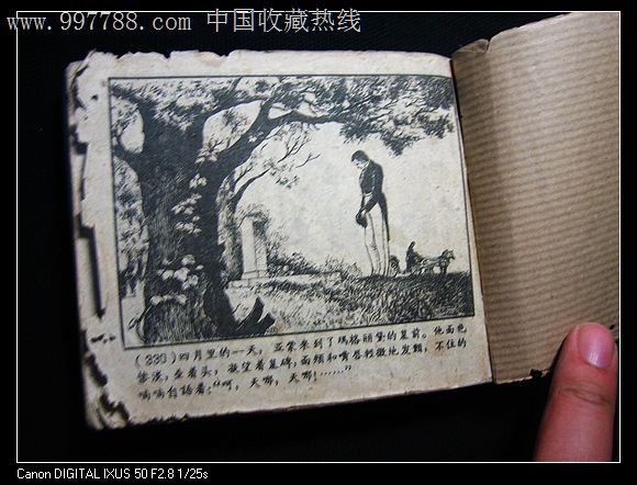 <em>茶花女</em>(<em>经典</em>砖头书)-价格:299.99元-se1420231