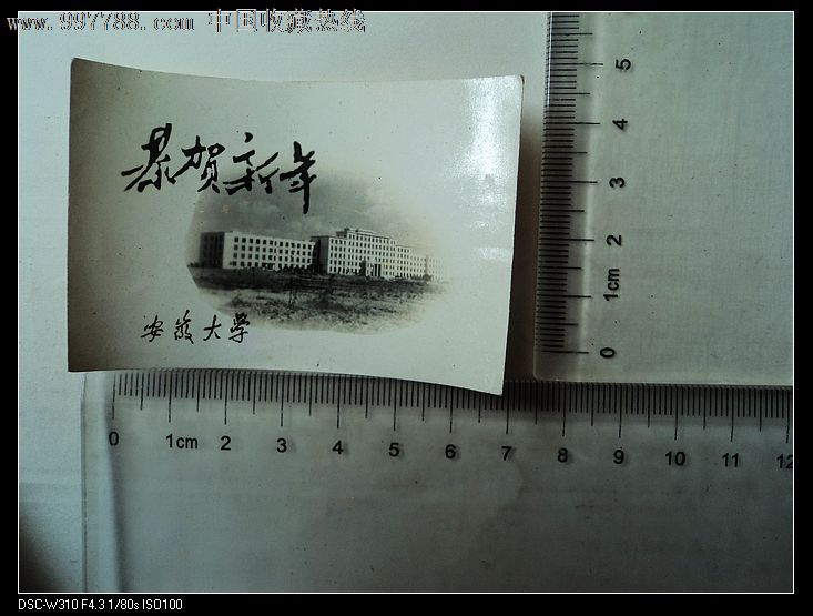 安徽大学.恭贺新年(老照片)