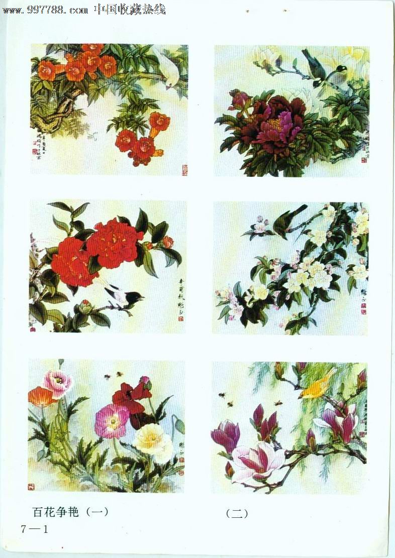 百花争艳