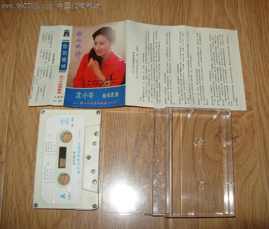 你的眼神·沈小岑独唱歌曲