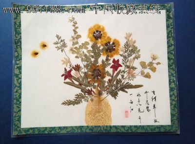 手工制作植物标本【吉祥草方千层碧,如意花开一品红】