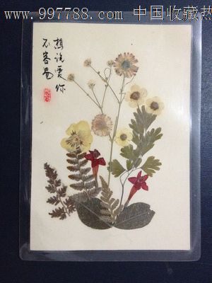 手工制作植物标本【想说爱你不容易】