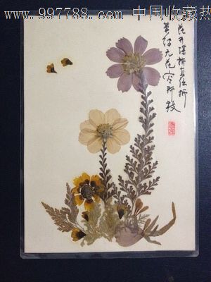 手工制作植物标本【花开堪折直需摘,莫待无花空折枝】