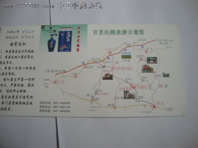 百里杜鹃景区门票