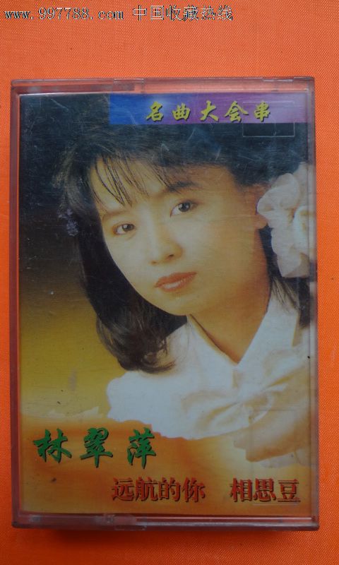 林翠萍远航的你