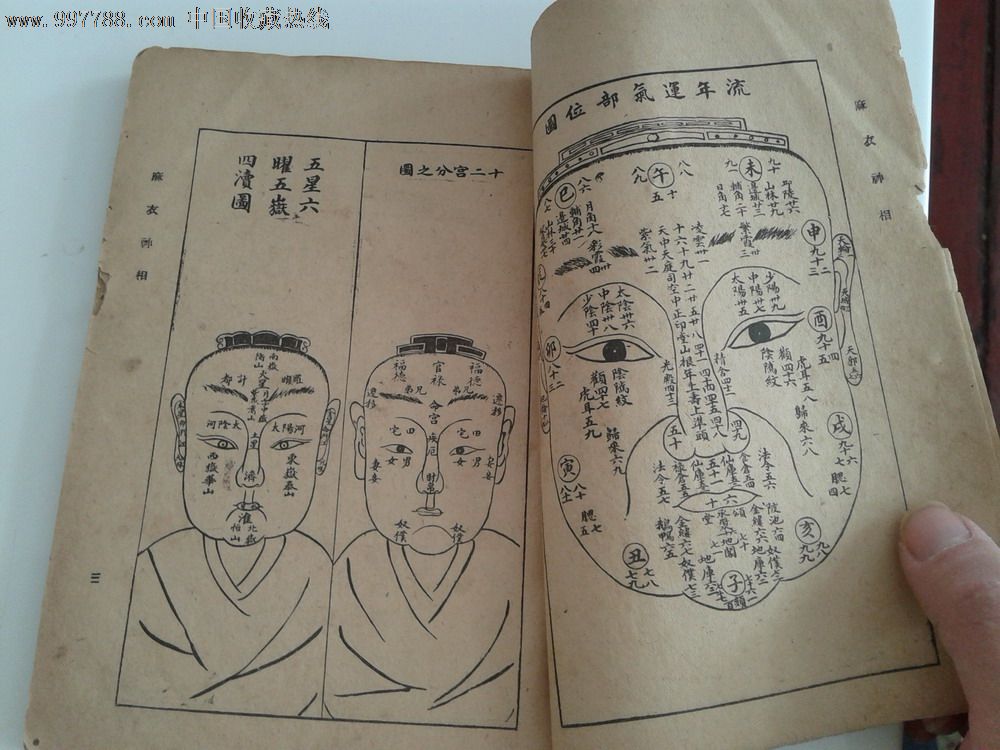 民国时期上海锦章书局印行出版的《麻衣神相》