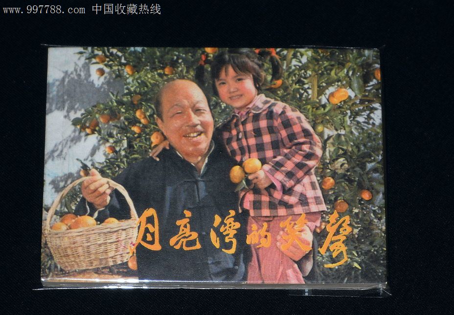 月亮湾的风波