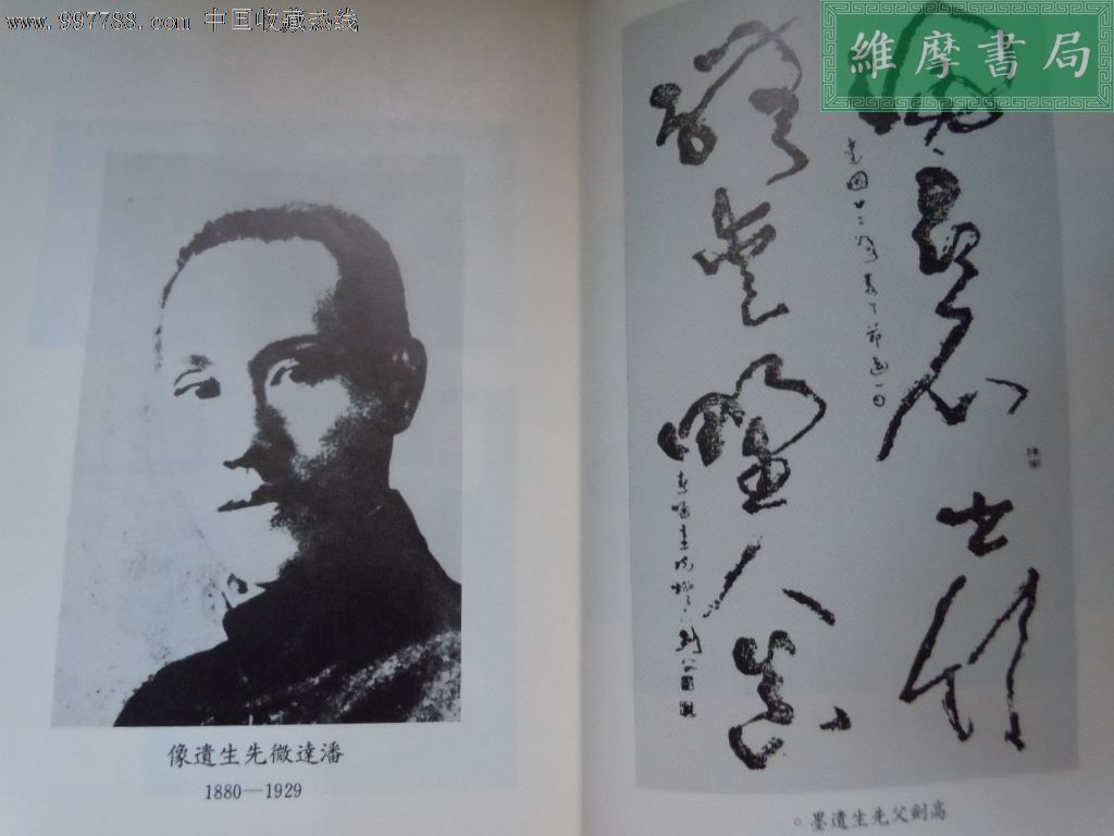 【先贤先烈传记丛刊】革命二画家-高剑父,潘达微合传