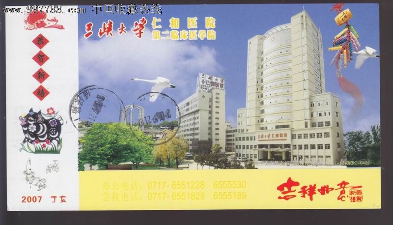 2007三峡大学仁和医院第二临床医学院