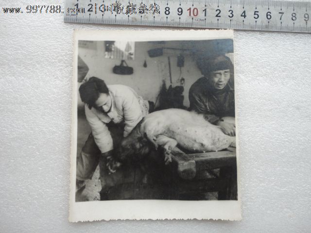 生产队过年了_老照片_明山纸品收藏【中国收藏热线】