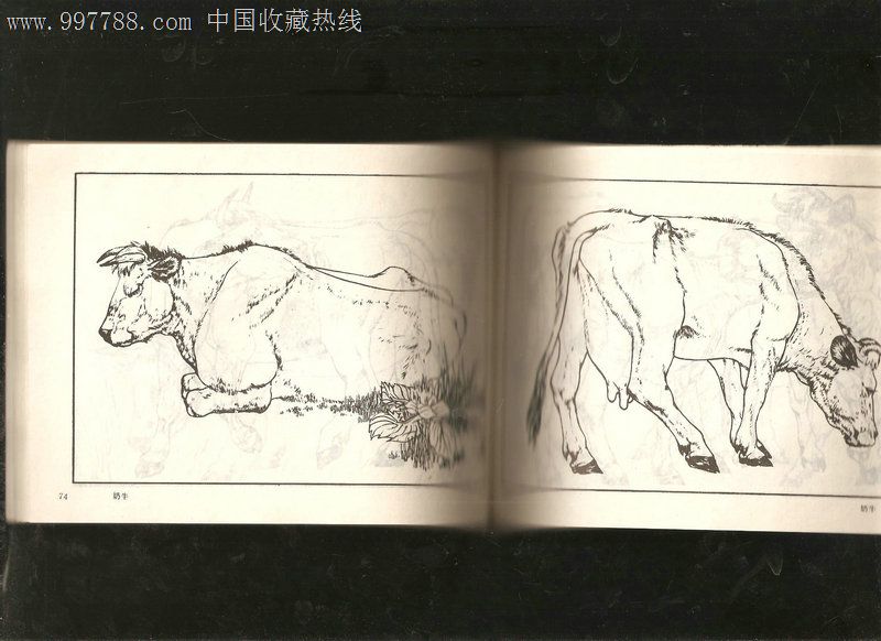 初学画牛_价格元_第3张_7788收藏__中国收藏热线
