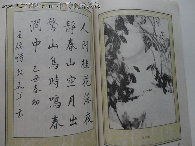 诗情画意(本书将中,小学语文课本中的古体诗歌,以书法,绘画形式再现给