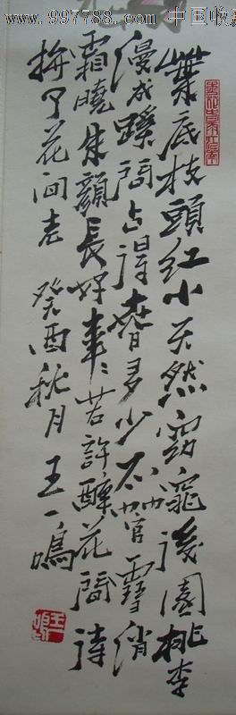 王一鸣精品蔷薇