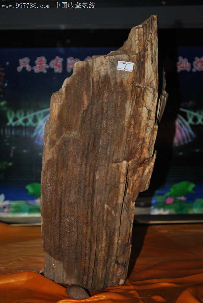 木化石_价格1888元_第3张_中国收藏热线