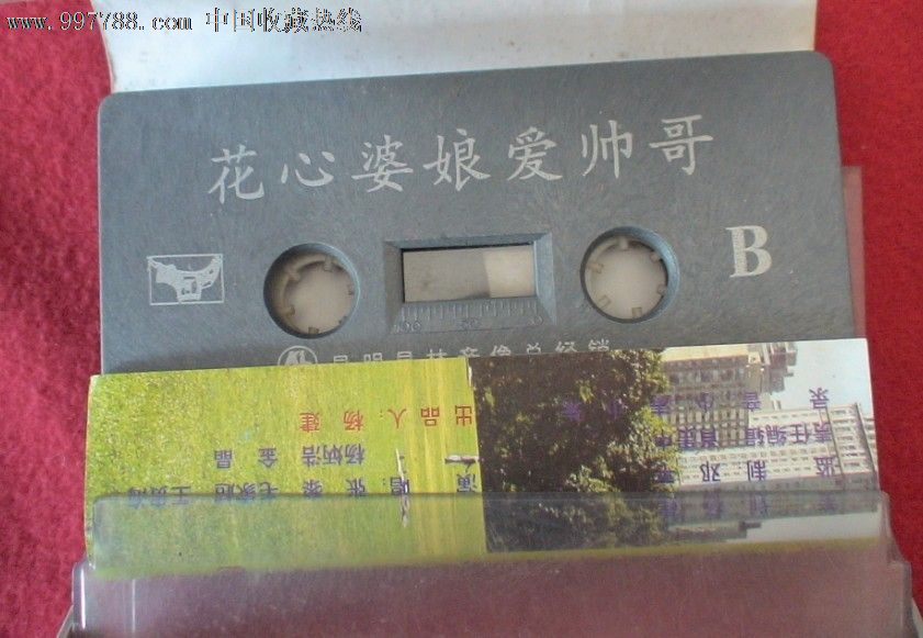 云南山歌戏:花心婆娘爱帅歌(5盒)