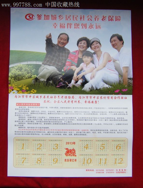 2013年宣传年画参加城乡居民社会养老保险幸