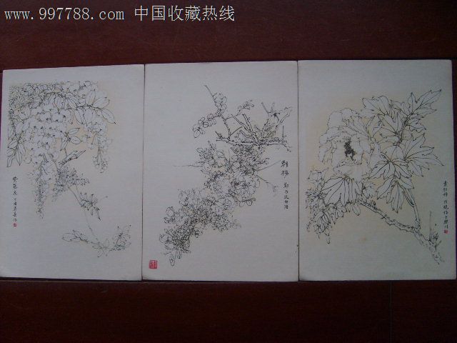 1959年郑乃珖白描花卉活页15张全