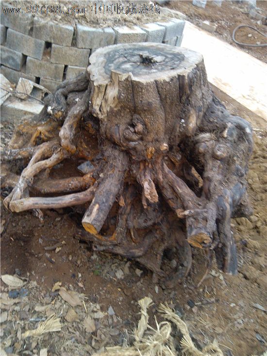 出售树根,根雕,其他根雕,21世纪10年代,其他形